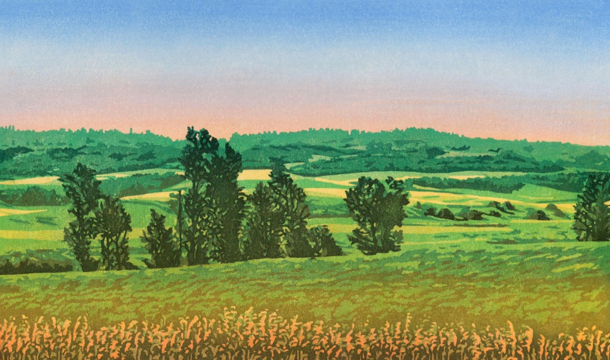Rolling green fields and scattered trees under a pale sunset, ripe rye standing in the foreground.