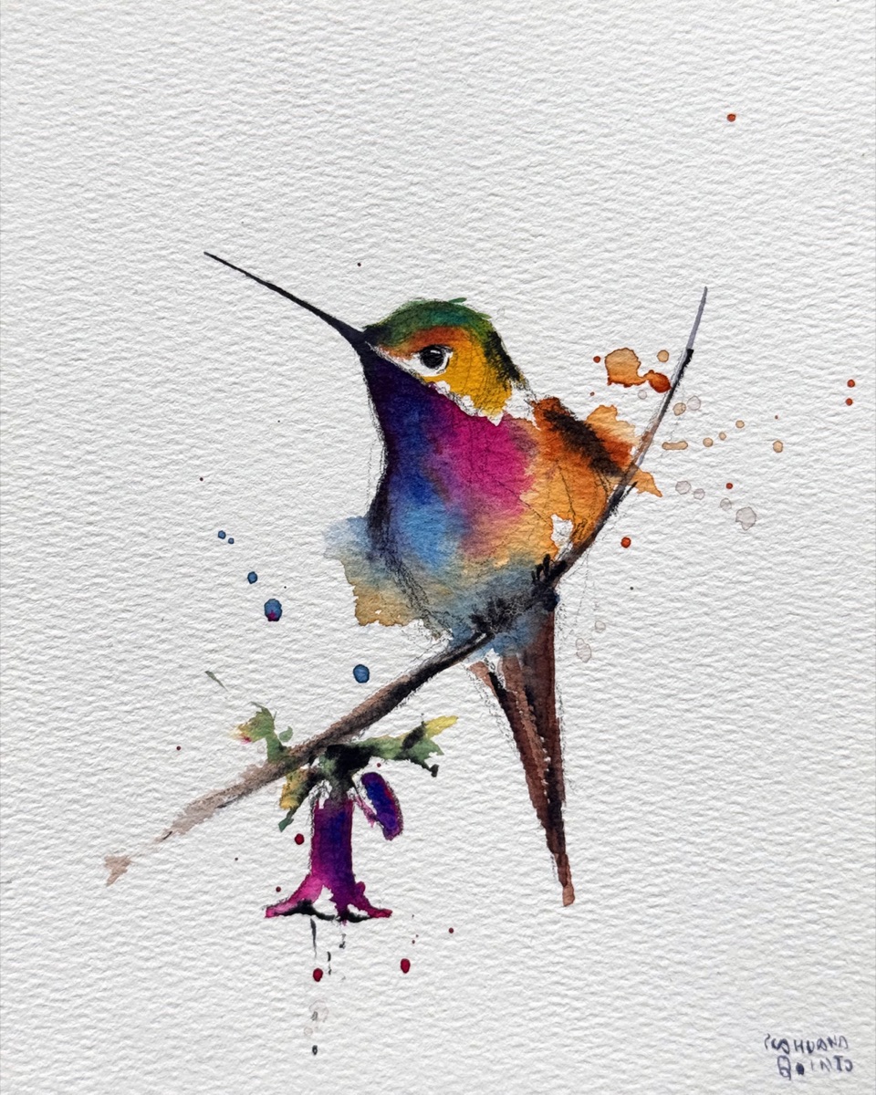 A hummingbird in green, magenta, and orange on an arching branch, a single fuchsia hanging beneath it.