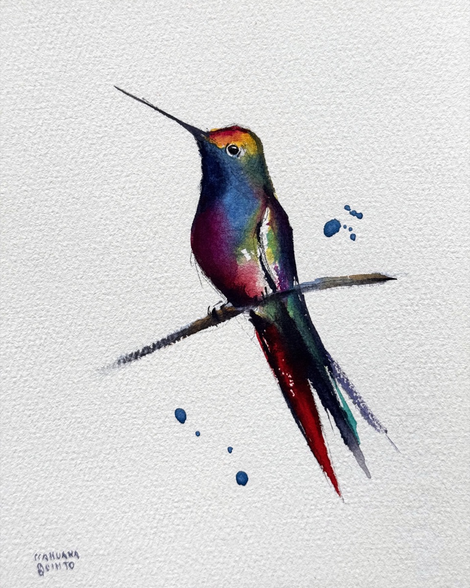A hummingbird whose tail streams well below the branch in red, teal, and violet, the head caught in gold and green.