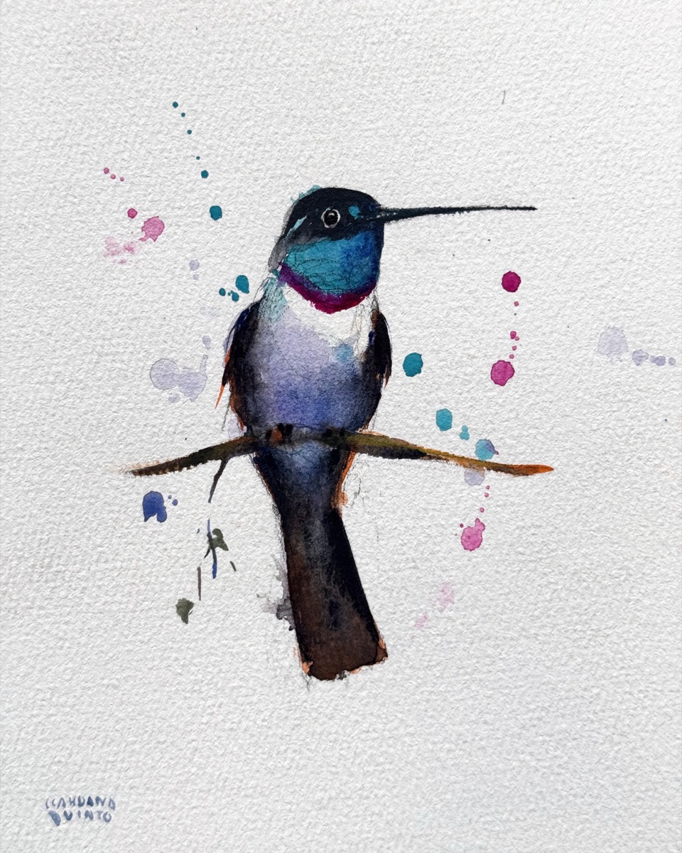 A hummingbird with a brilliant turquoise throat above a band of magenta, its breast washed violet, among flicks of pink and teal.