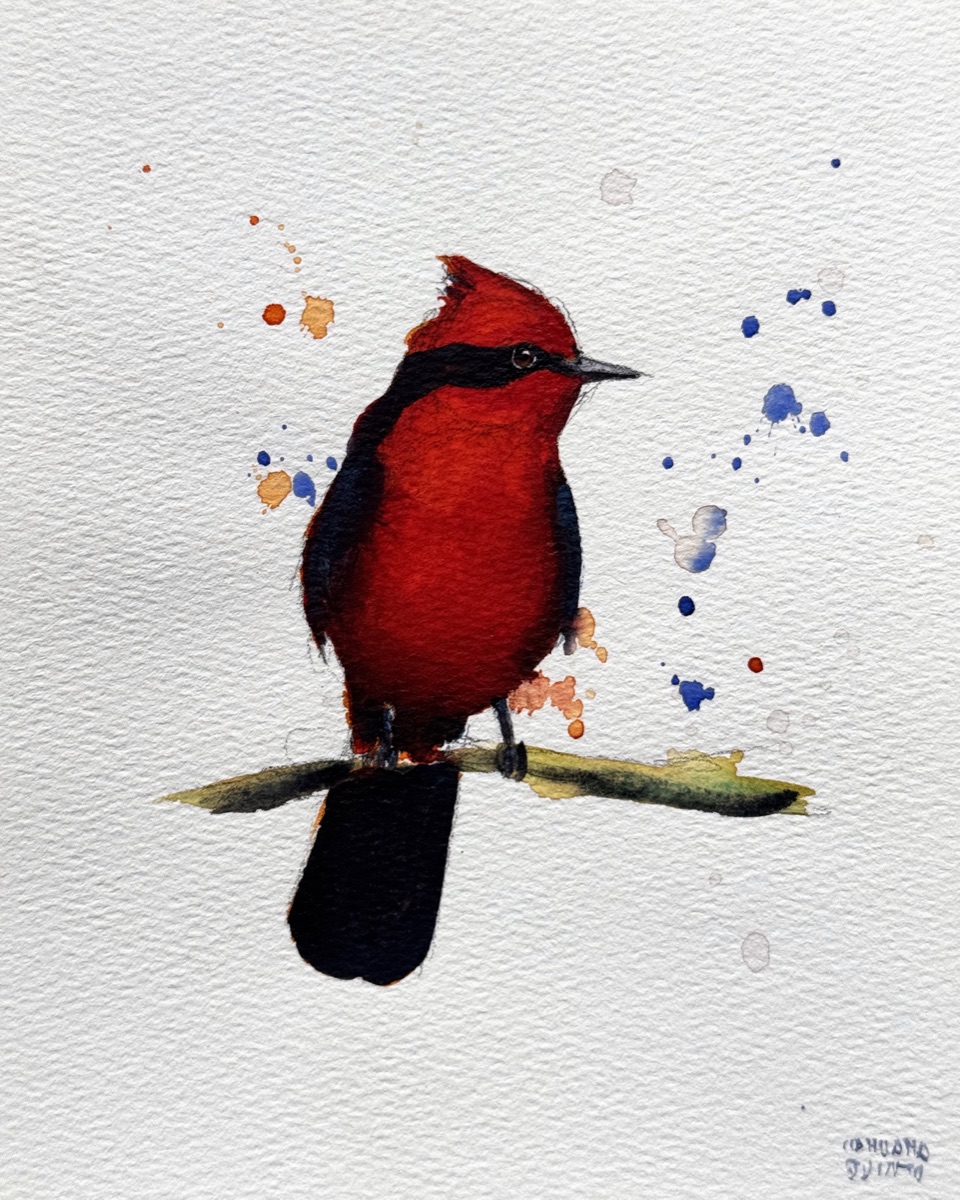 The crimson crest and dark bandit mask of a vermilion flycatcher, its long black tail dropping below the branch.
