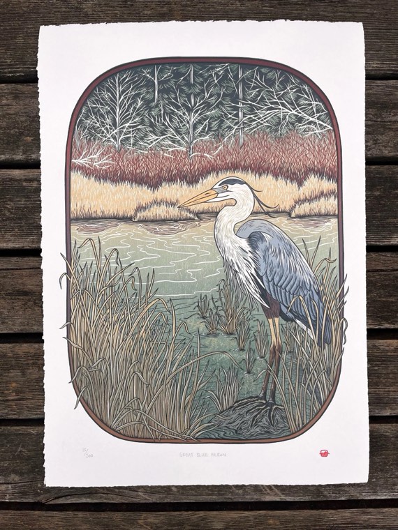 Great Blue Heron by Sarah Finger