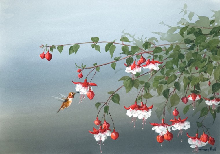 Fuchsia Blossoms by Jeffrey Hull