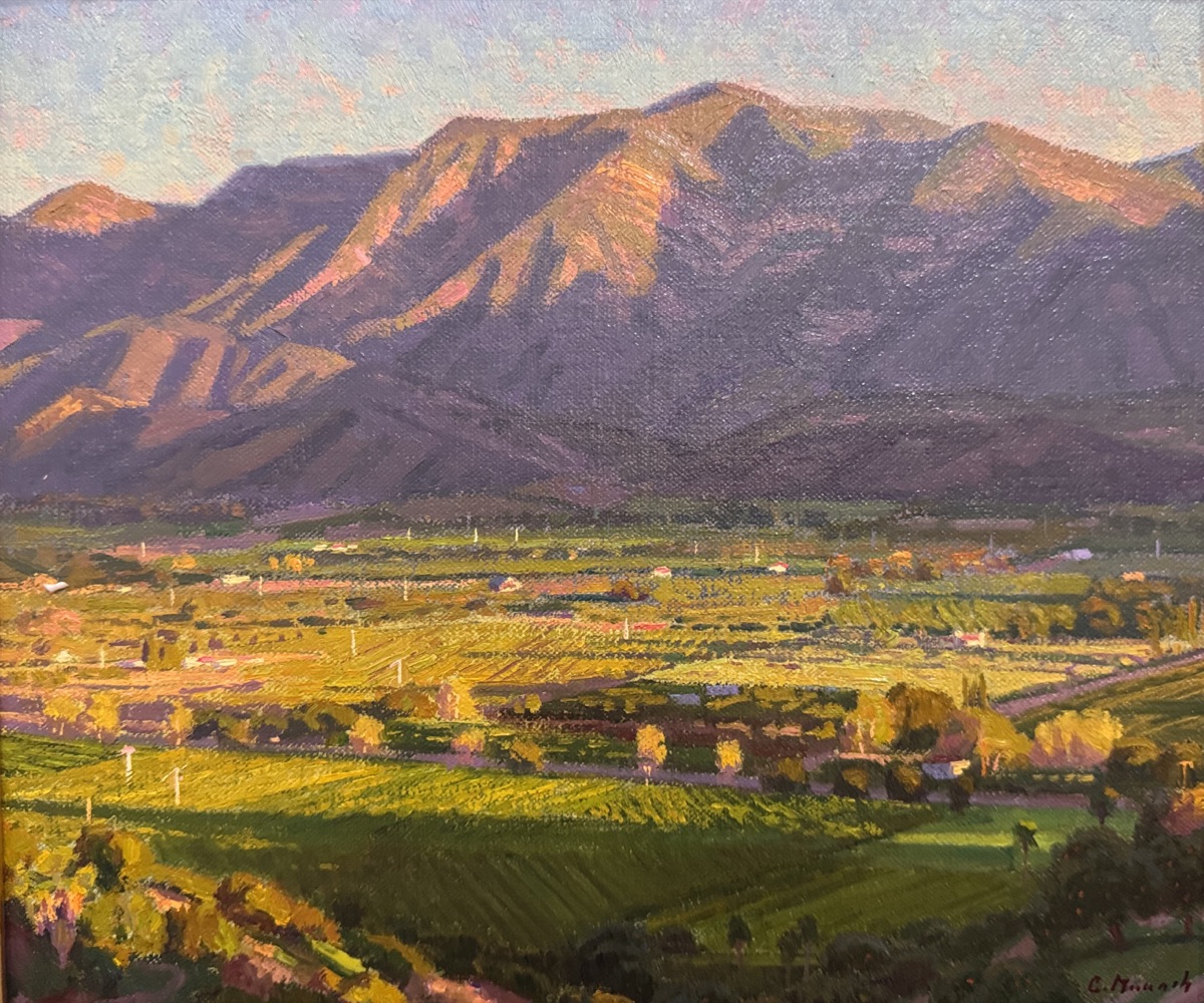 The Ojai valley floor in early light, orchards and pasture running to the base of the Topatopa bluffs, the ridge still in shadow above.